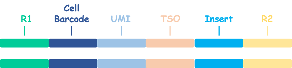 Click to see a larger version of the image