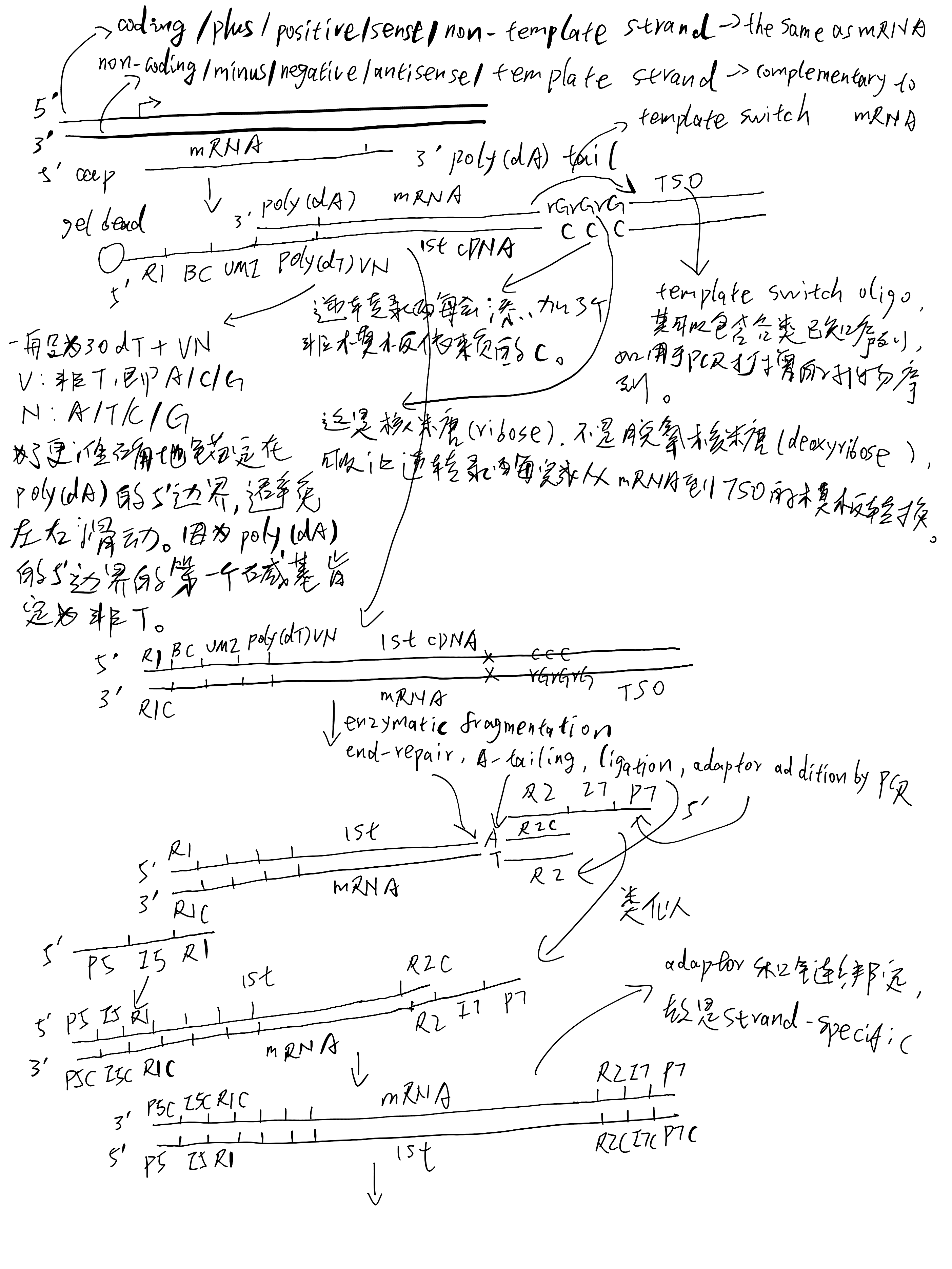 Click to see a larger version of the image