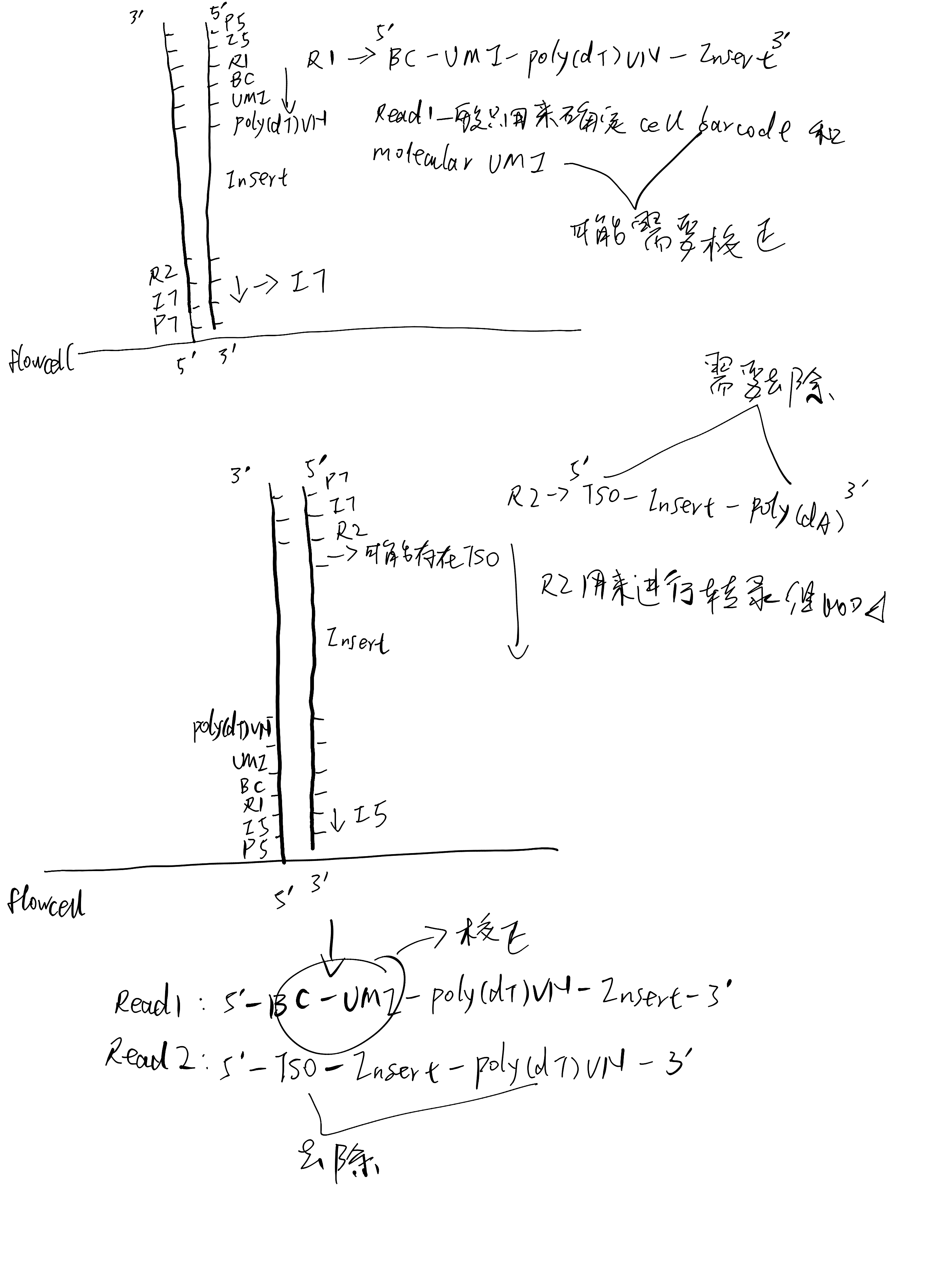 Click to see a larger version of the image