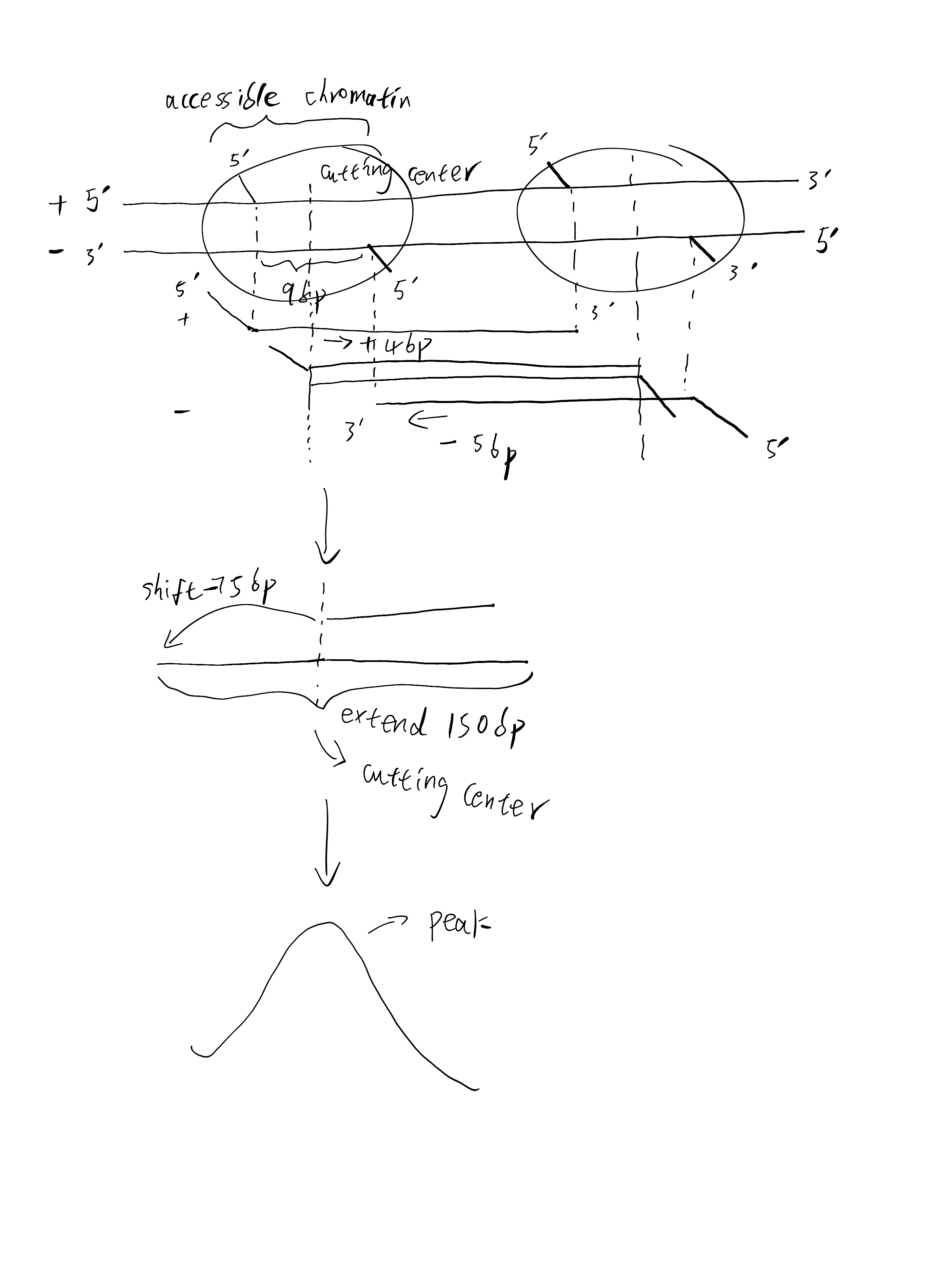 Click to see a larger version of the image